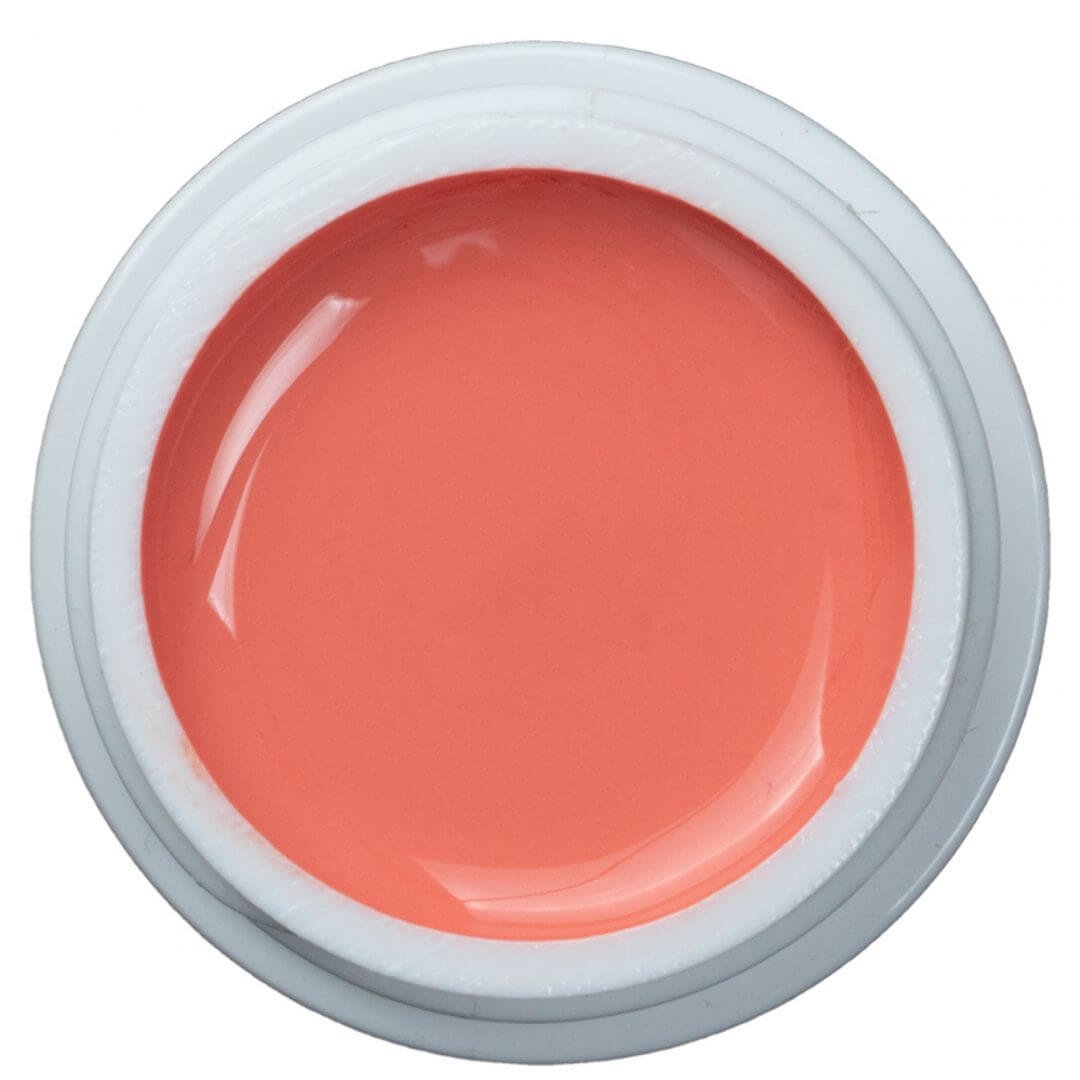 Painting Gel – Blush – 5g