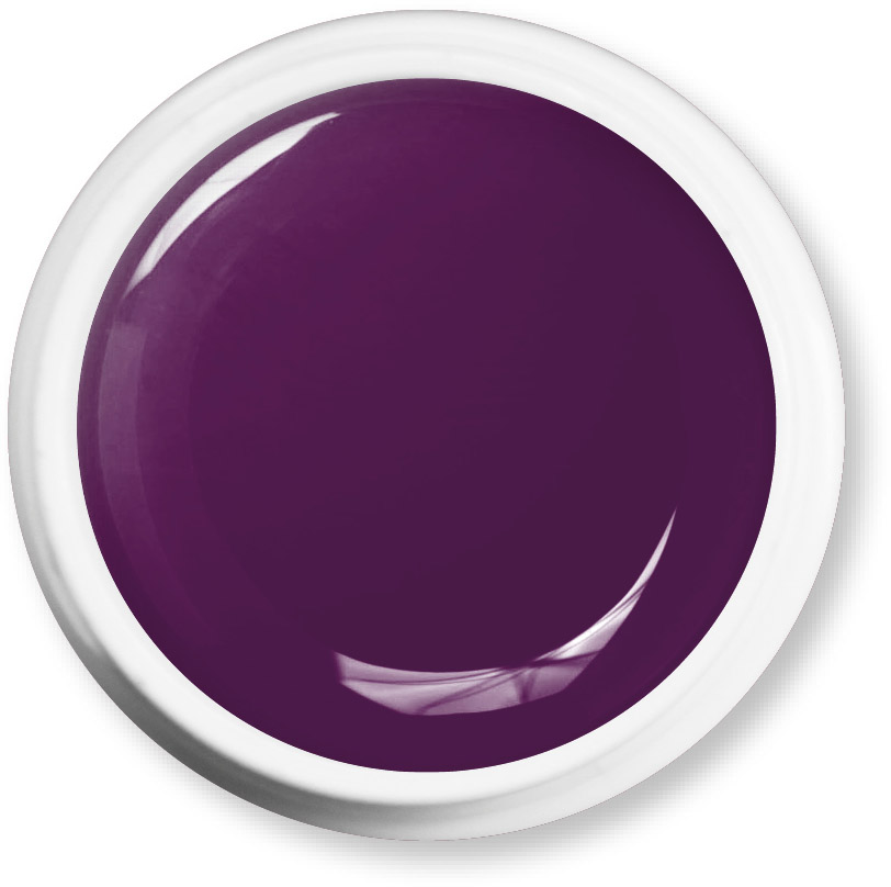 Maica UV-Farbgel 2022 – Aubergine – 5g