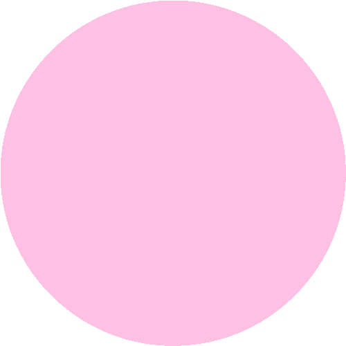 Hybrid Gellack - 8157 - Balletz Slipper - 10,5g